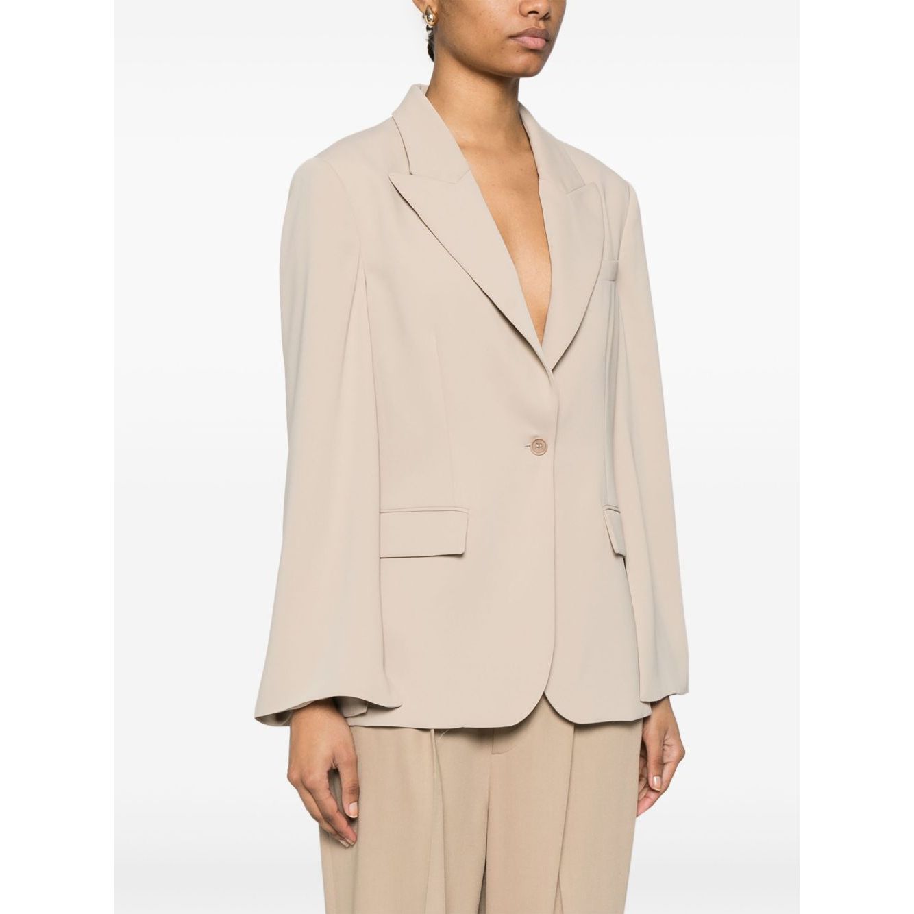 Parosh Single-Breasted Blazer Jackets