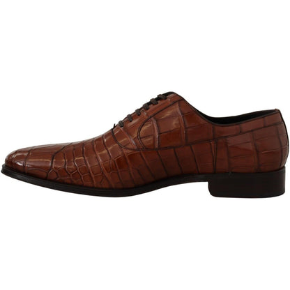 Dolce & Gabbana Brown Crocodile Leather Mens Formal Derby Shoes