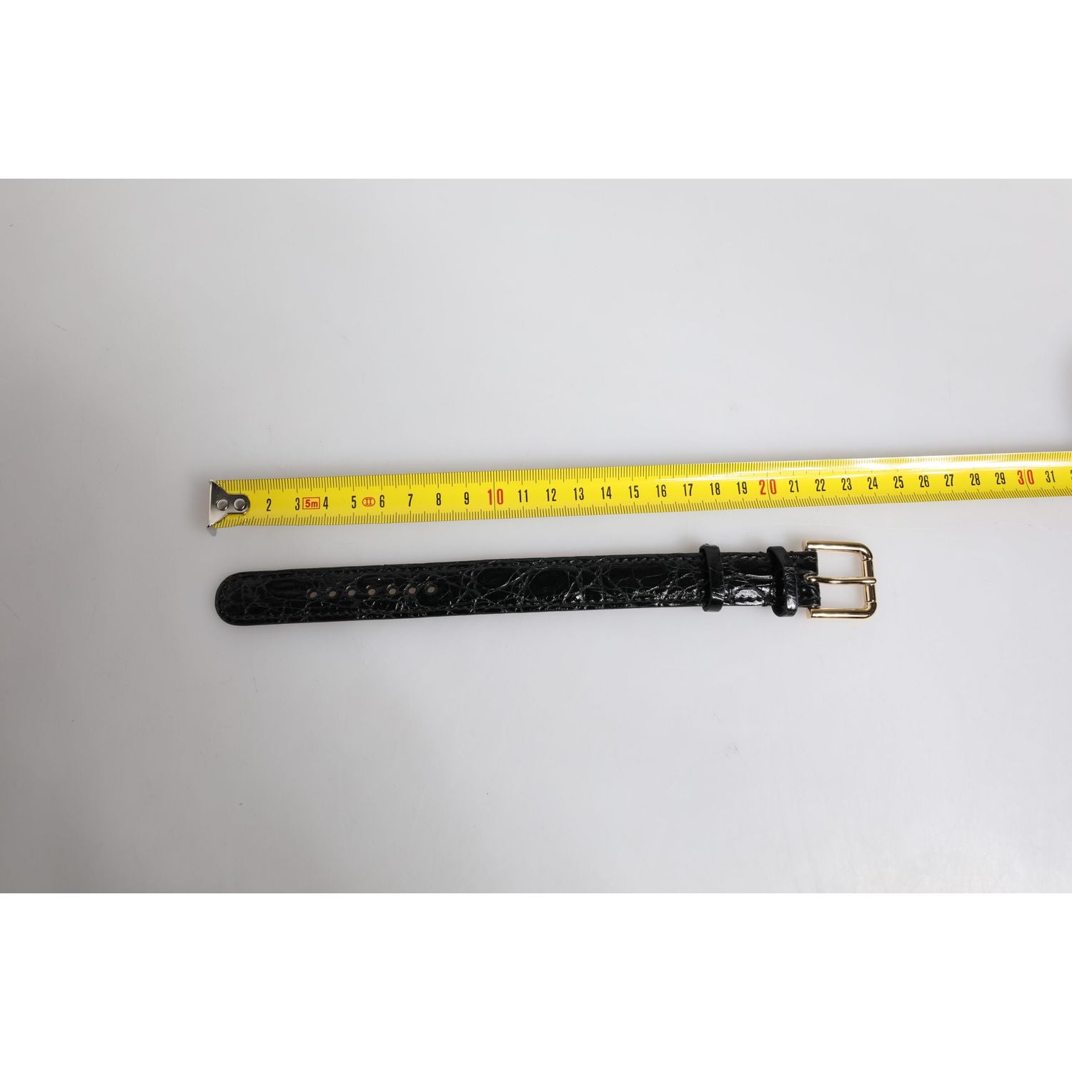 Dolce & Gabbana Black Exotic Leather Gold Tone Metal Buckle Armband