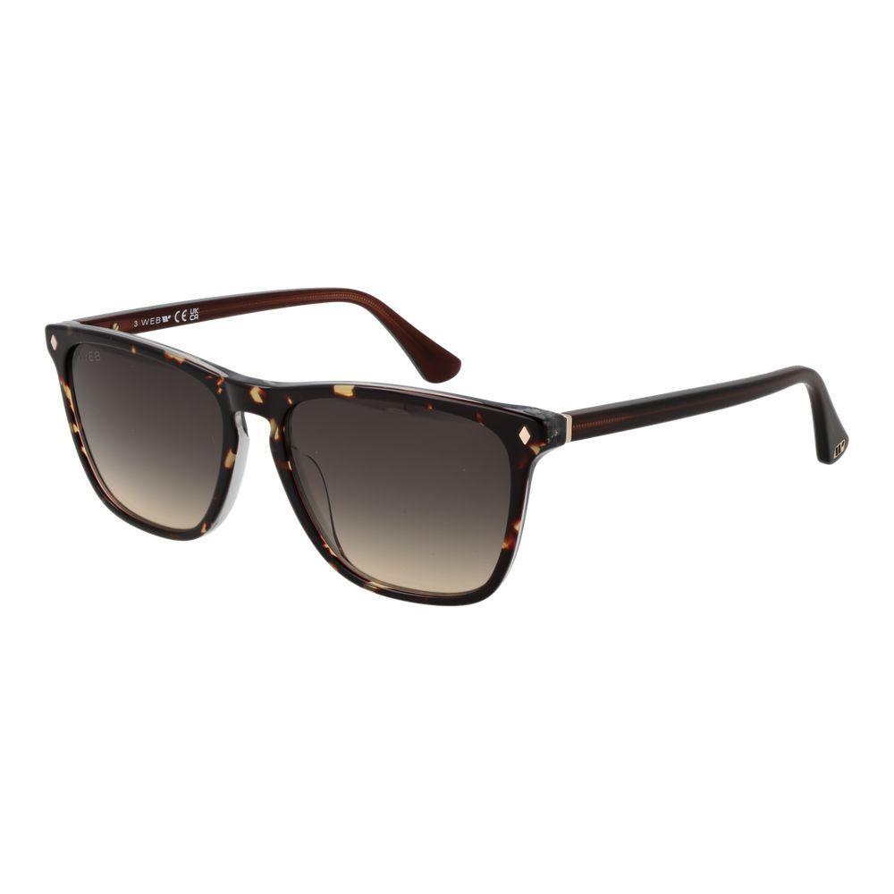 Web Brown Men Sunglass