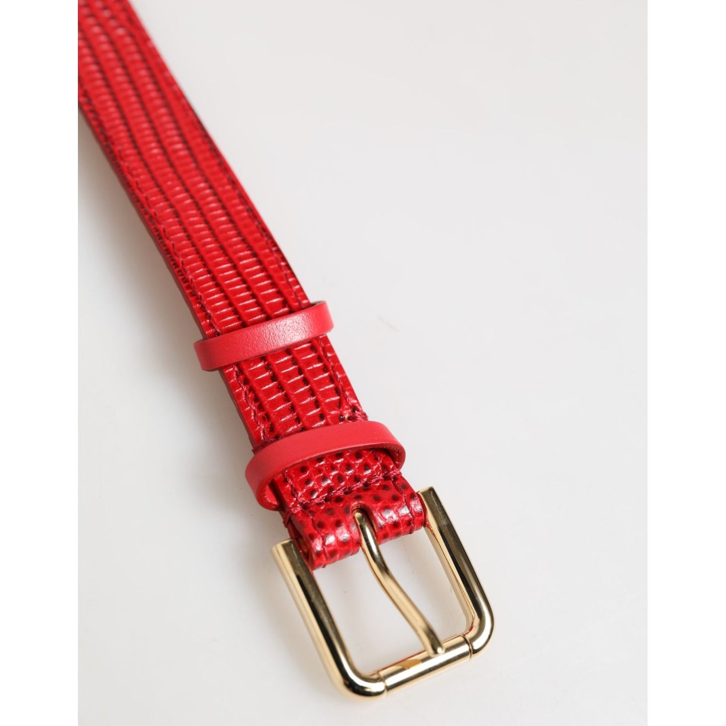 Dolce & Gabbana Red Exotic Leather Gold Tone Metal Buckle Women Armband