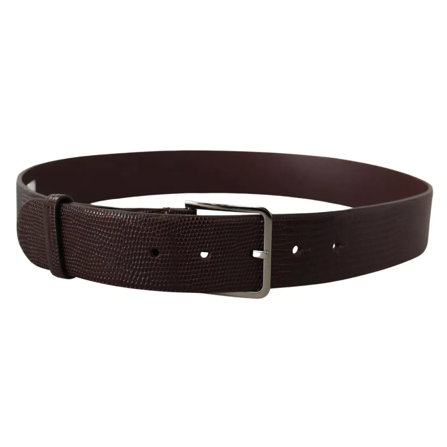 Dolce & Gabbana Dark Brown Calf Leather Silver Logo Metal Buckle Belt