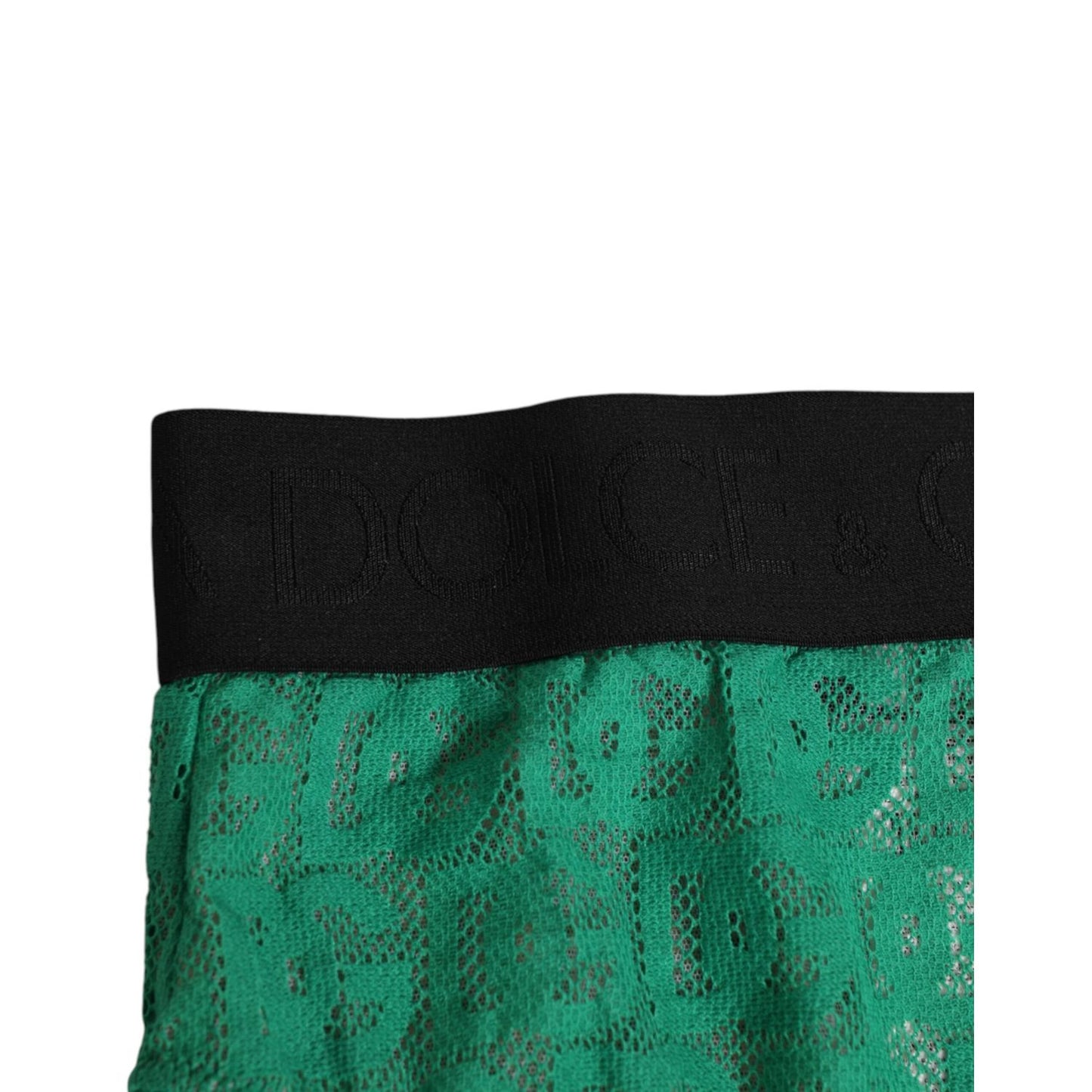 Dolce & Gabbana Green DG Logo Lace High Brief Panty Underwear