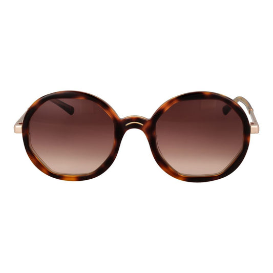 Sandro Brown Women Sunglass with round acetate frame and gradient lenses offering 100% UVA & UVB protection.