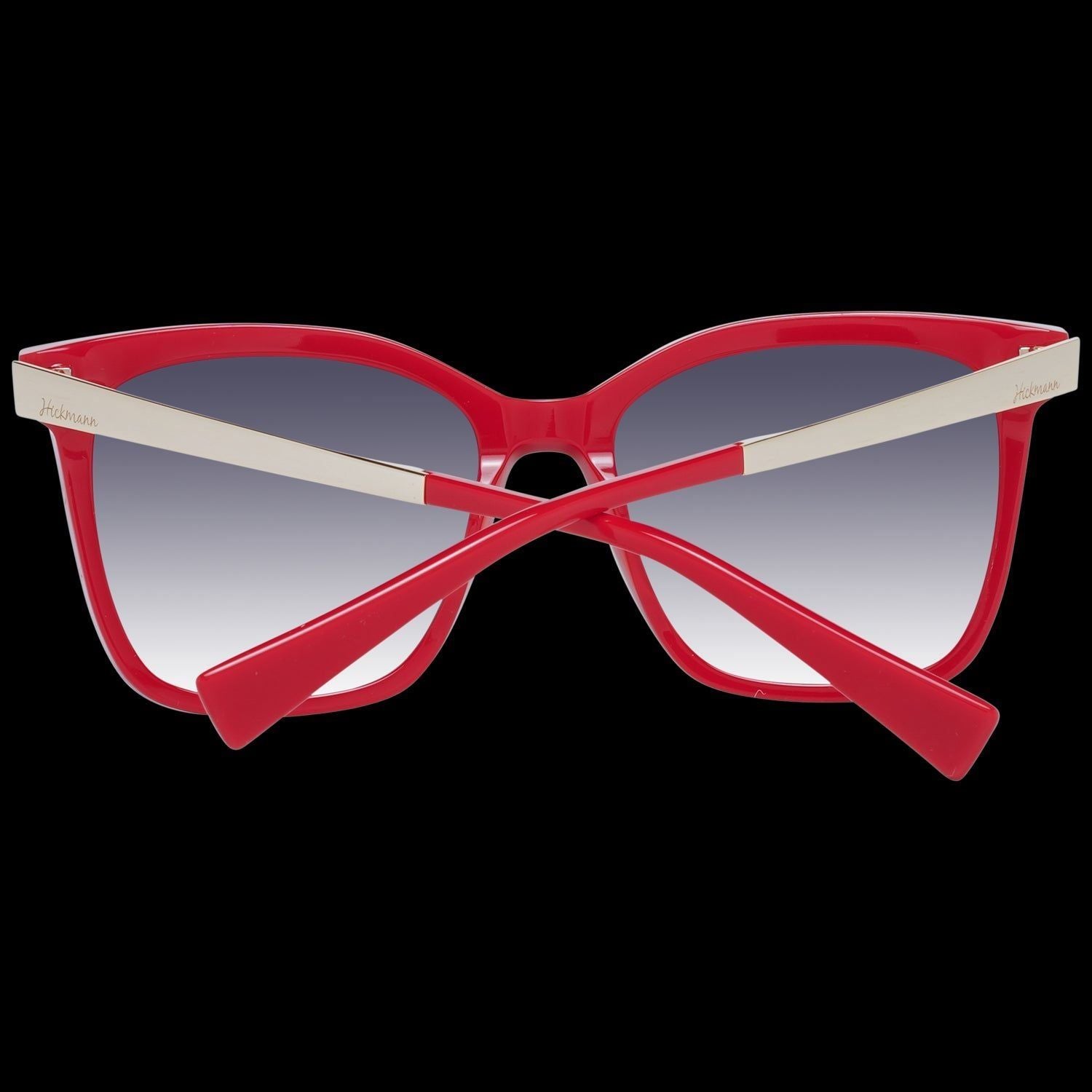 ANA HICKMANN 模组。 HI9057 53D01