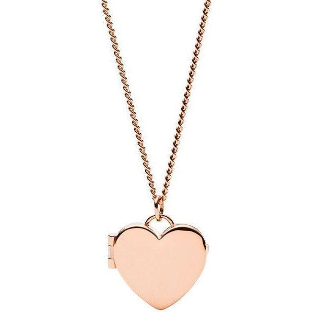 جواهر أحفورية وزارة الدفاع. JF03155791